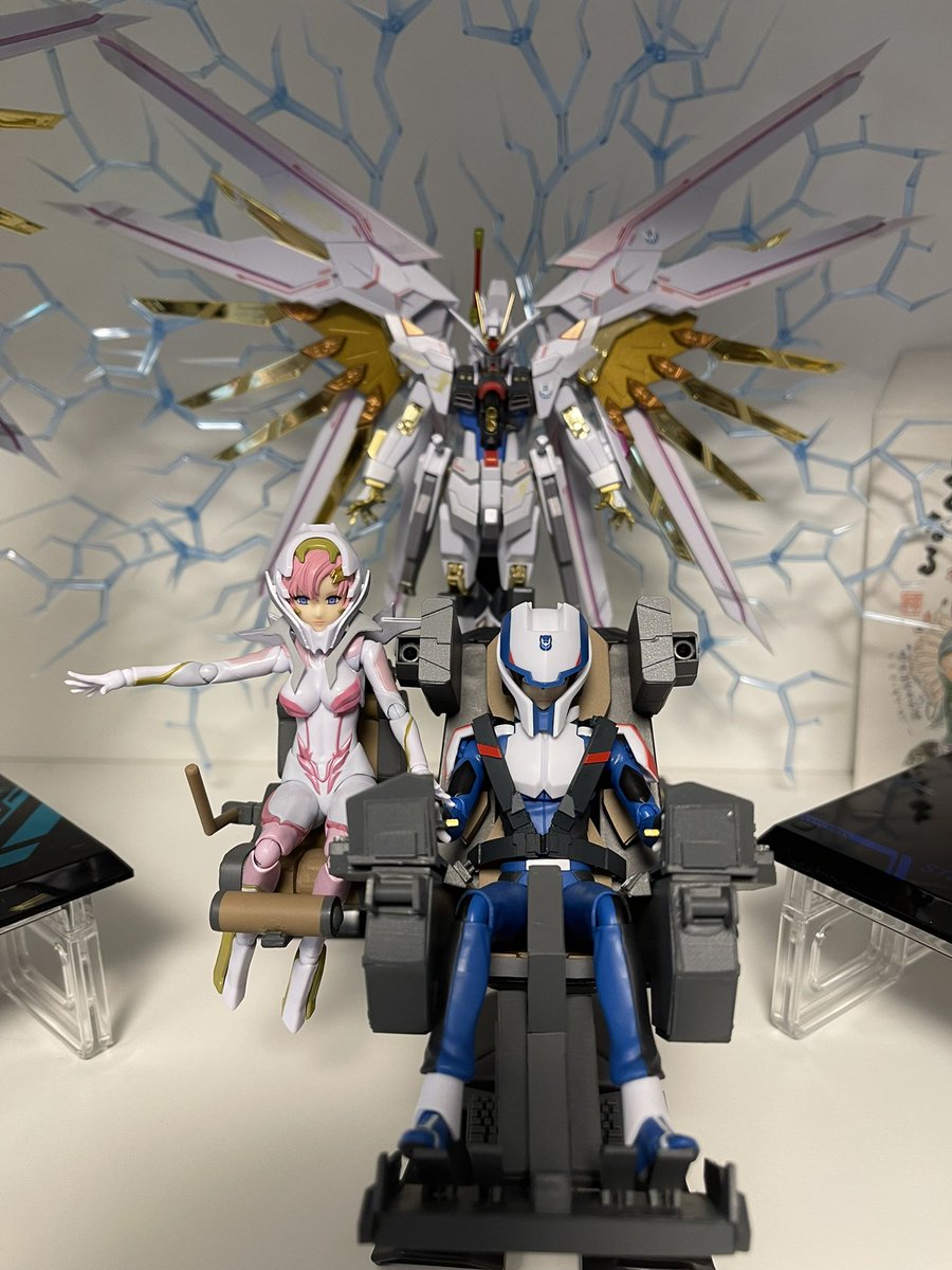 goodboyisamu's tweet image. これはわたくしが・・・
#SEEDFREEDOM