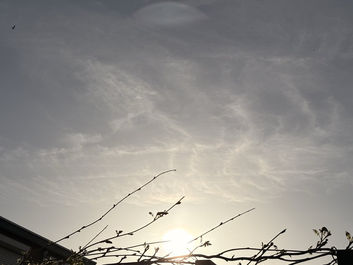 Saskia 🙋🏼‍♀️ Het wolken vrouwtje ☁️ tweet media