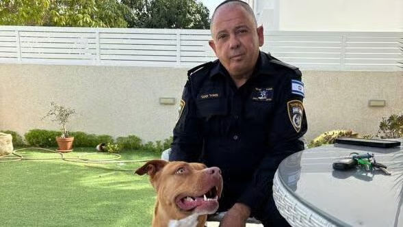 ynet עדכוני tweet media