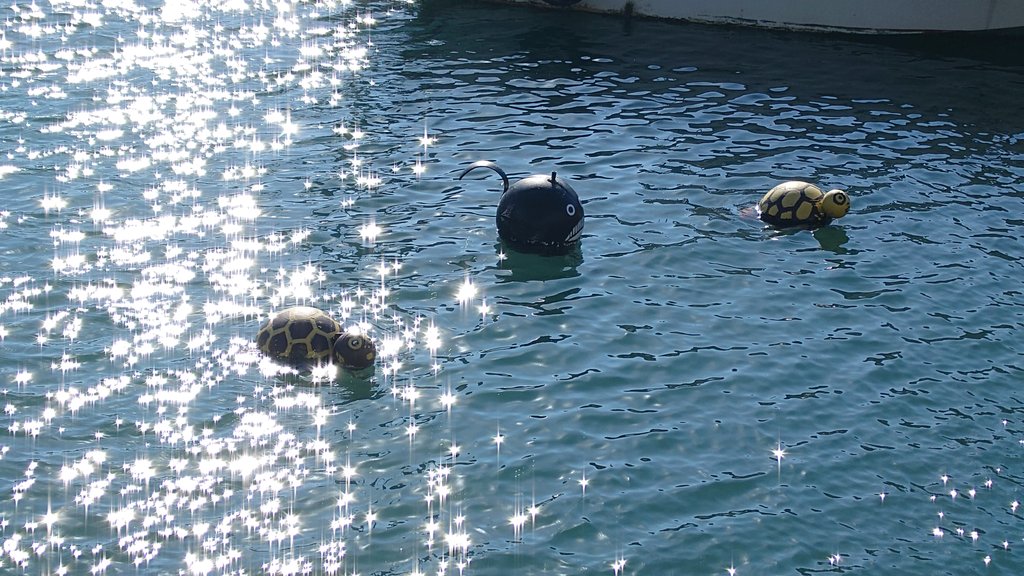 またたび研究所/また旅しよう。 tweet media