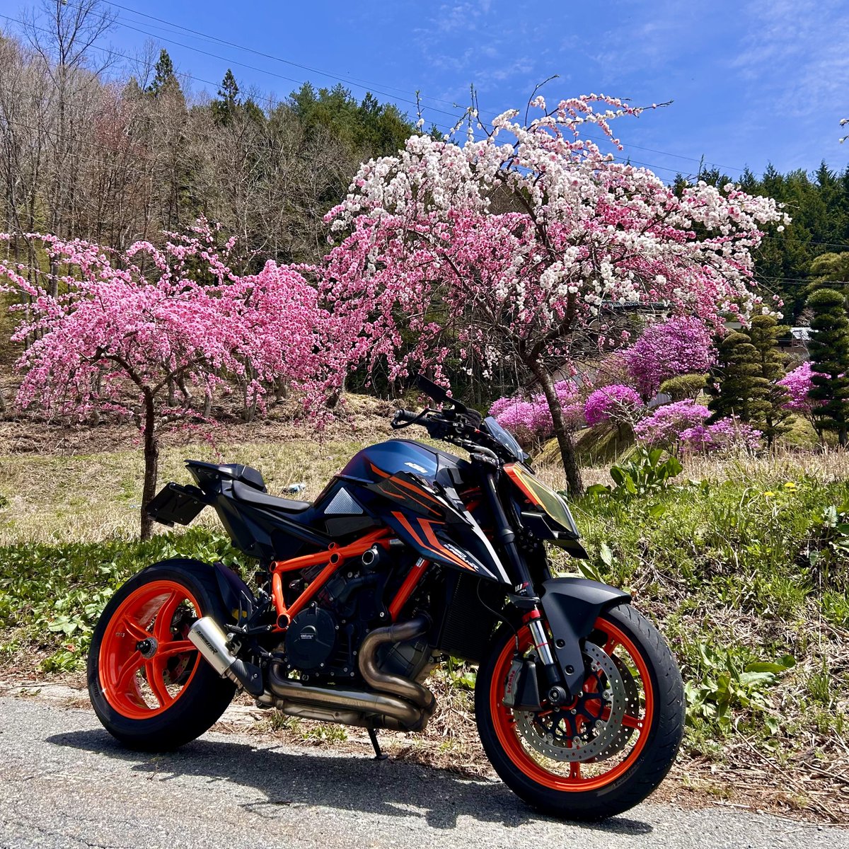 ichiro_mzd16's tweet image. 今日は花もも街道まで
#KTM #1290Superduke #はなもも