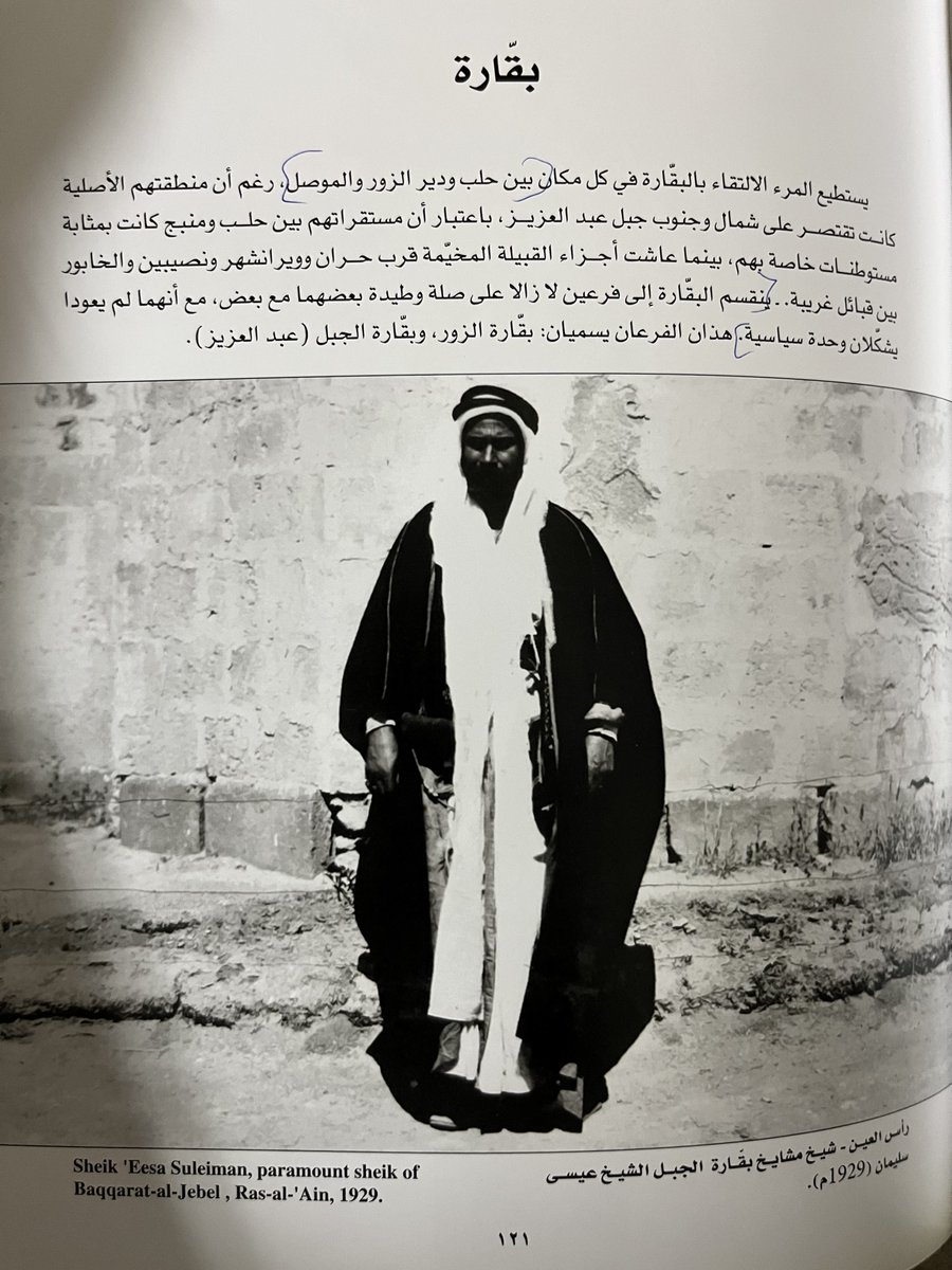 AAlhuqayl's tweet image. #photos