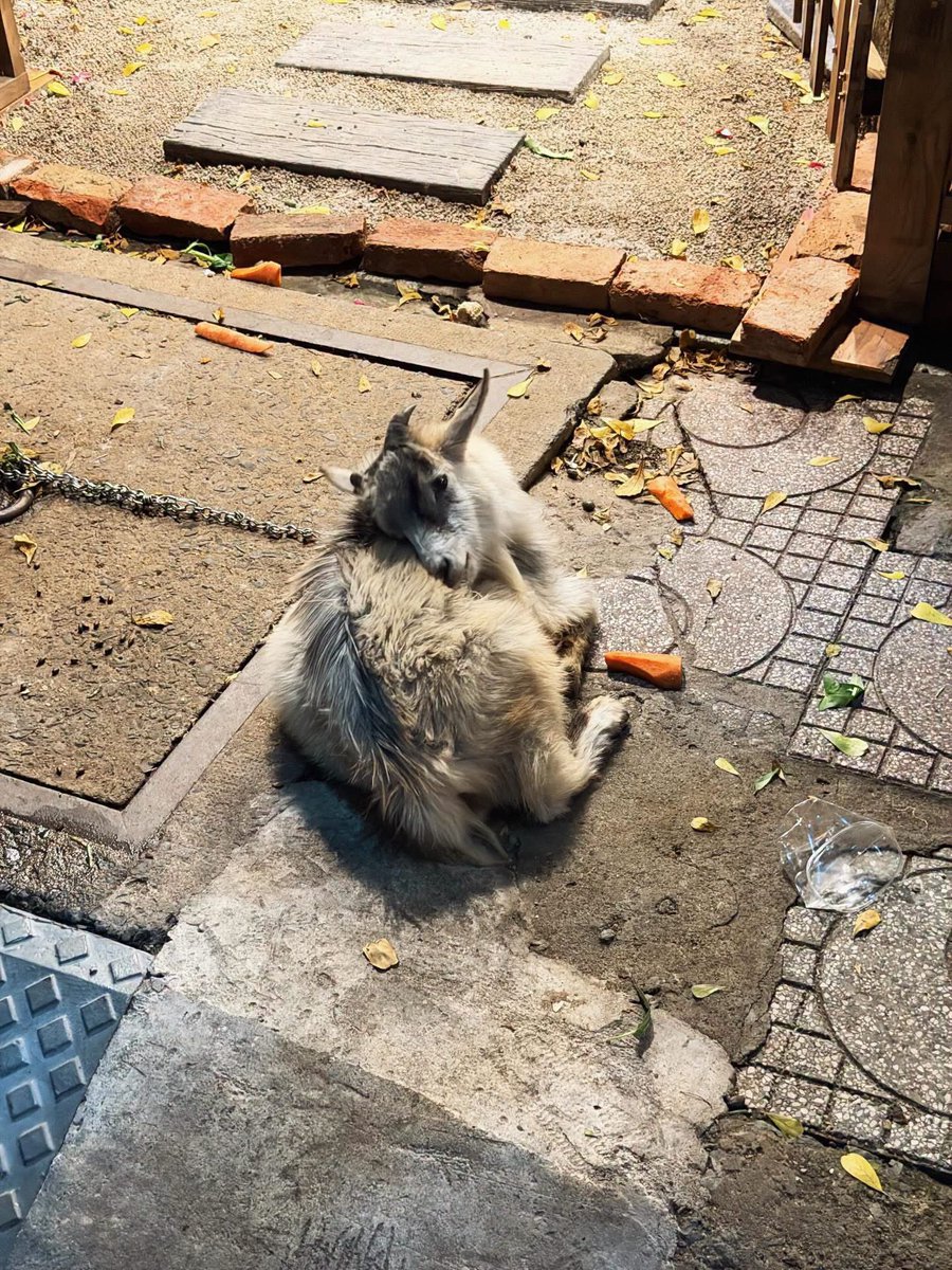 𝐄𝐮𝐫𝐨𝐲𝐬𝐰 𝐎𝐟𝐟𝐢𝐜𝐢𝐚𝐥 ◡̈ tweet media