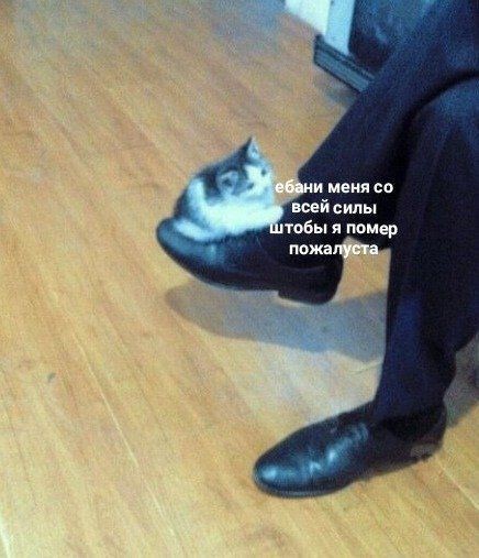 десятка tweet media