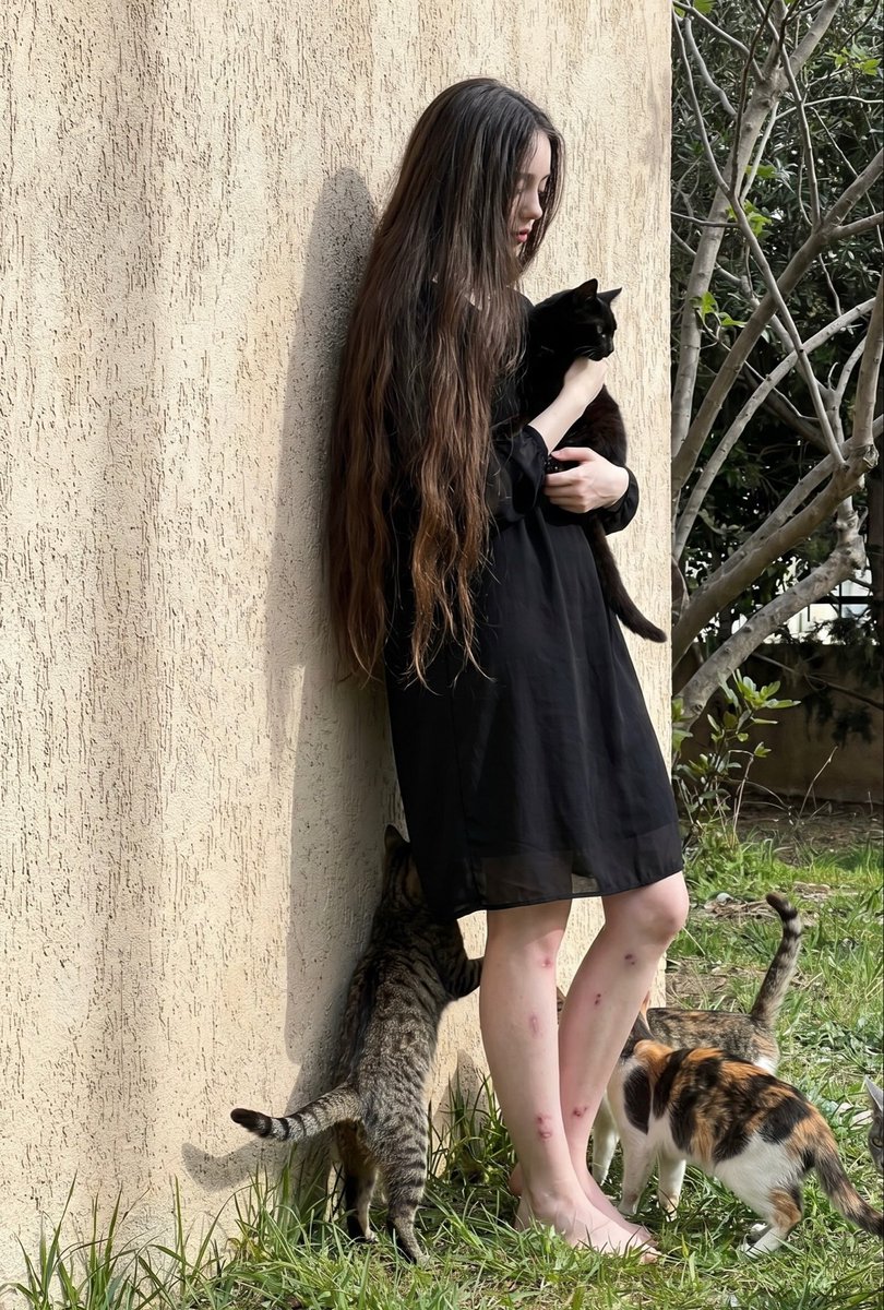 conne2405's tweet image. I look like an NPC. Press E to receive cat. My sister took this for me. God, I was surrounded by cats. Ignore the legs I’m naturally gifted at falling over.🤨 #Mood #cats #猫