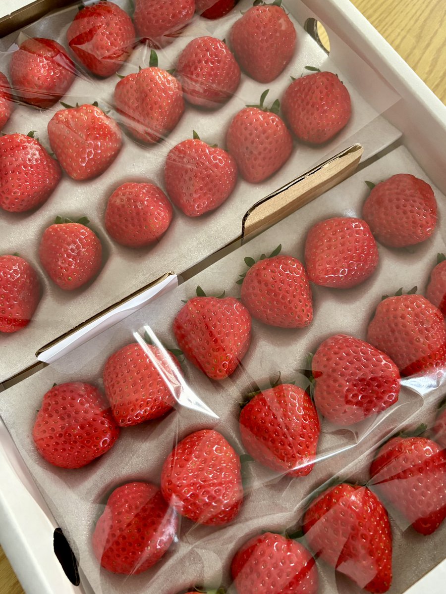 茉輝龍(まきろん)◌𓈒𓐍𓈒𓂂𓏸 tweet media