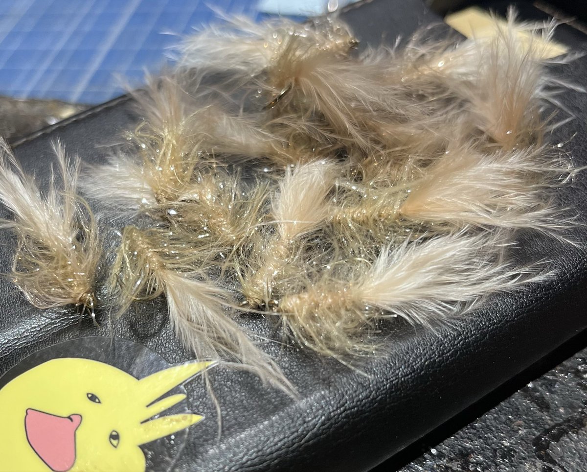 GearSrs's tweet photo. 久しぶりにハリを巻いてしまったー! #speedfiber #shelter https://t.co/AD3ltho9zh