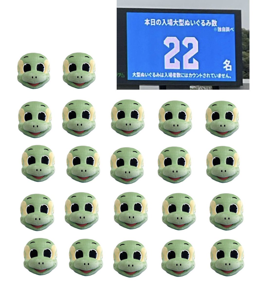 くまねこ 🐯ブログ写真整理中💦 tweet media