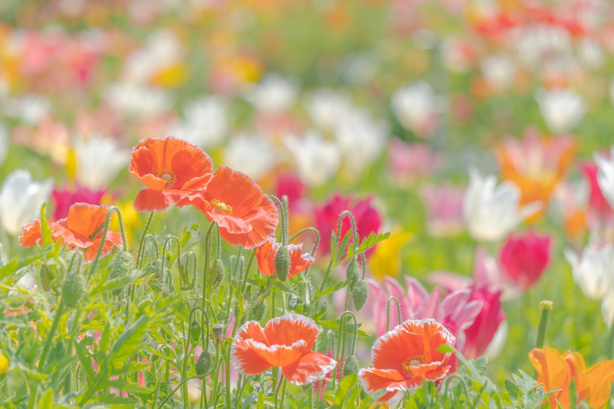 【公式】AREX自立支援センター tweet media