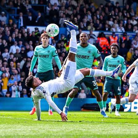 Lord Bradley Green tweet media