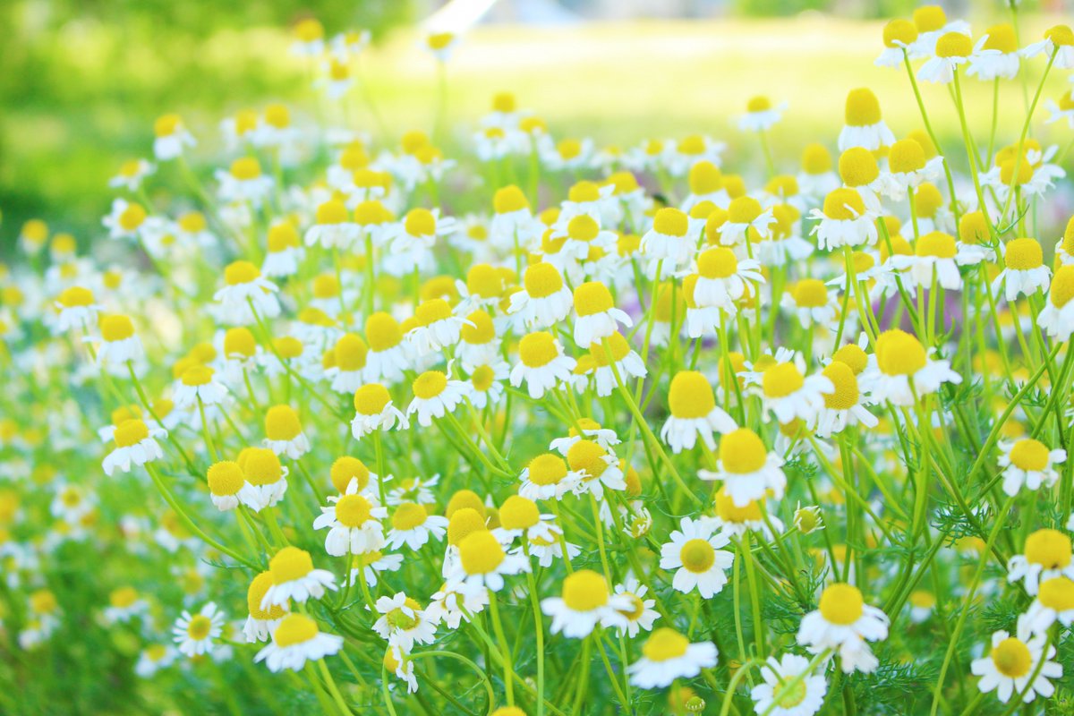 【公式】AREX自立支援センター tweet media