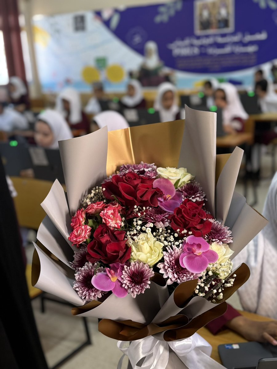 حليمة 🦋 tweet media