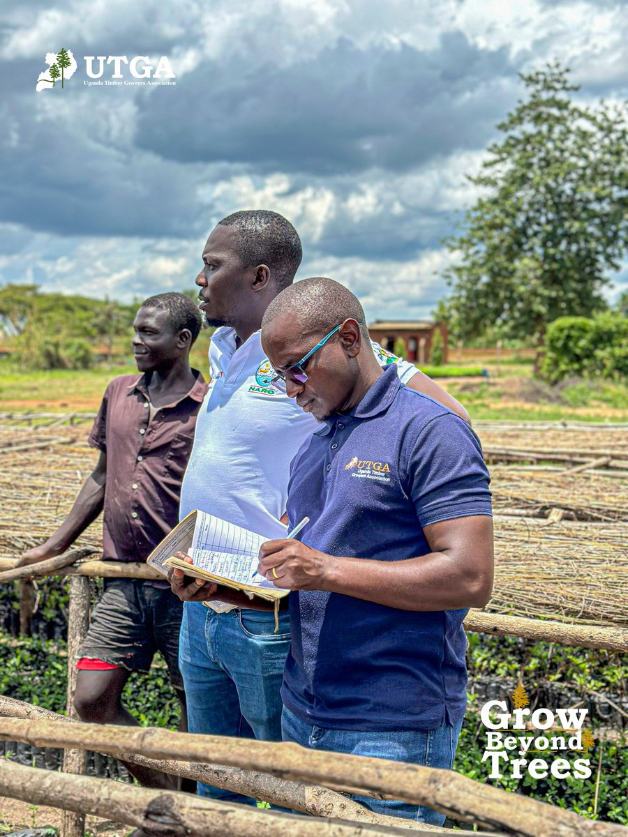 Uganda Timber Growers Association tweet media