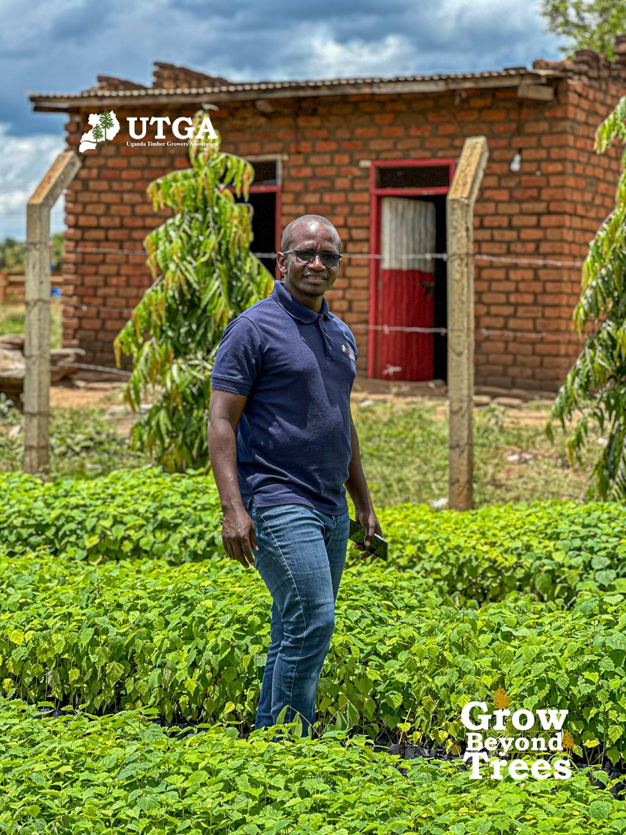 Uganda Timber Growers Association tweet media
