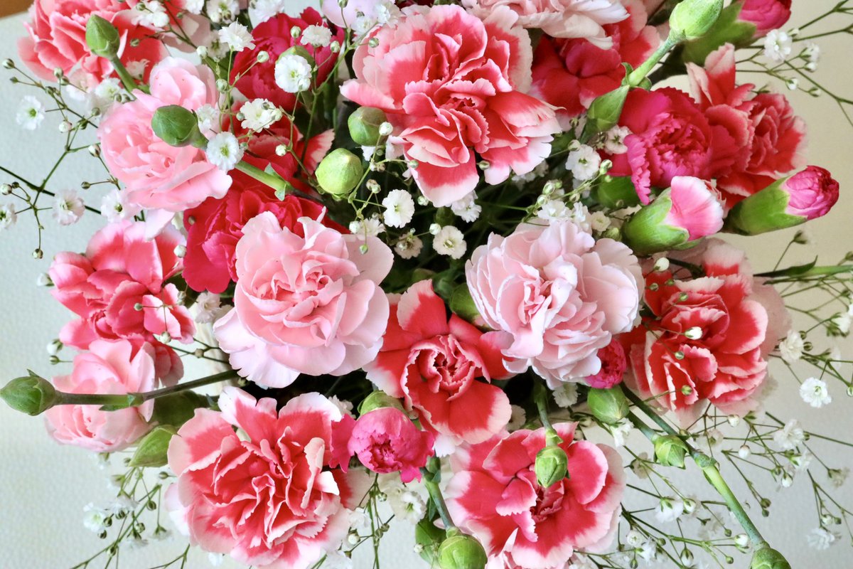 【公式】AREX自立支援センター tweet media