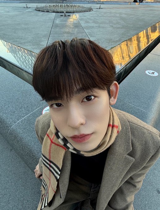 トイ🐈‍⬛ tweet media