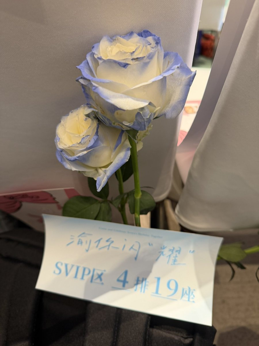 🍗WP 🐨🐰 tweet media