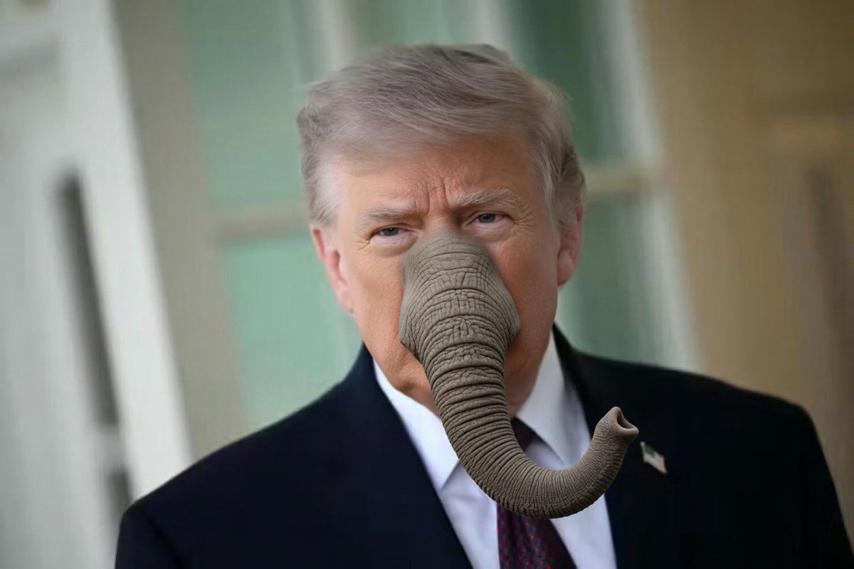 Rémi Kasprzyk tweet media