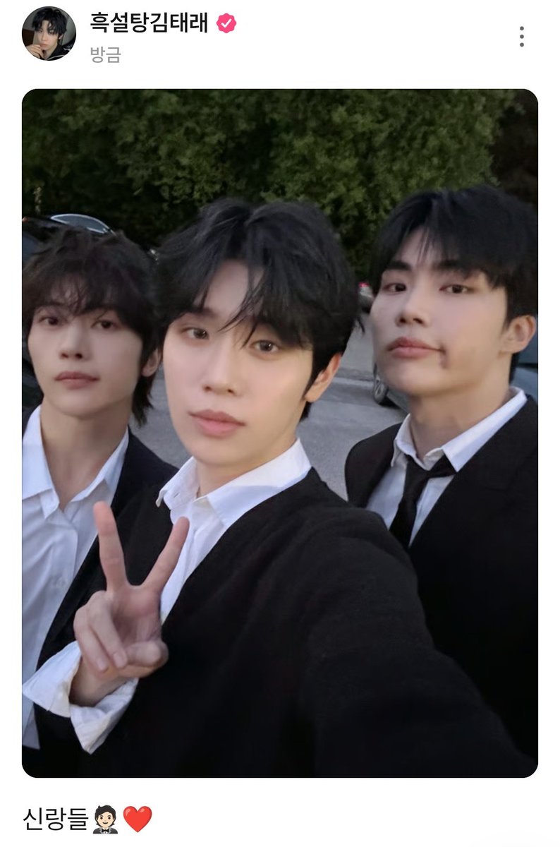 이제 tweet media