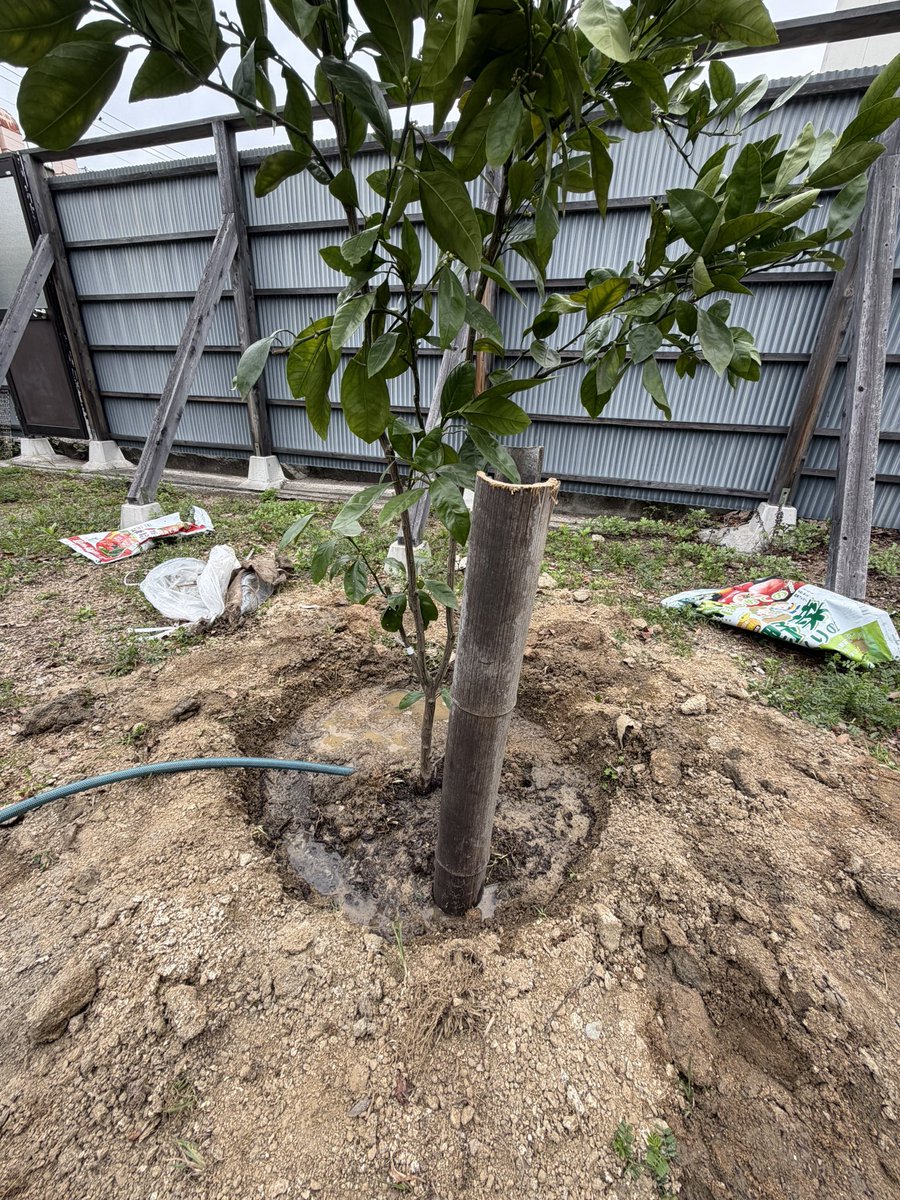 へなちょこ tweet media