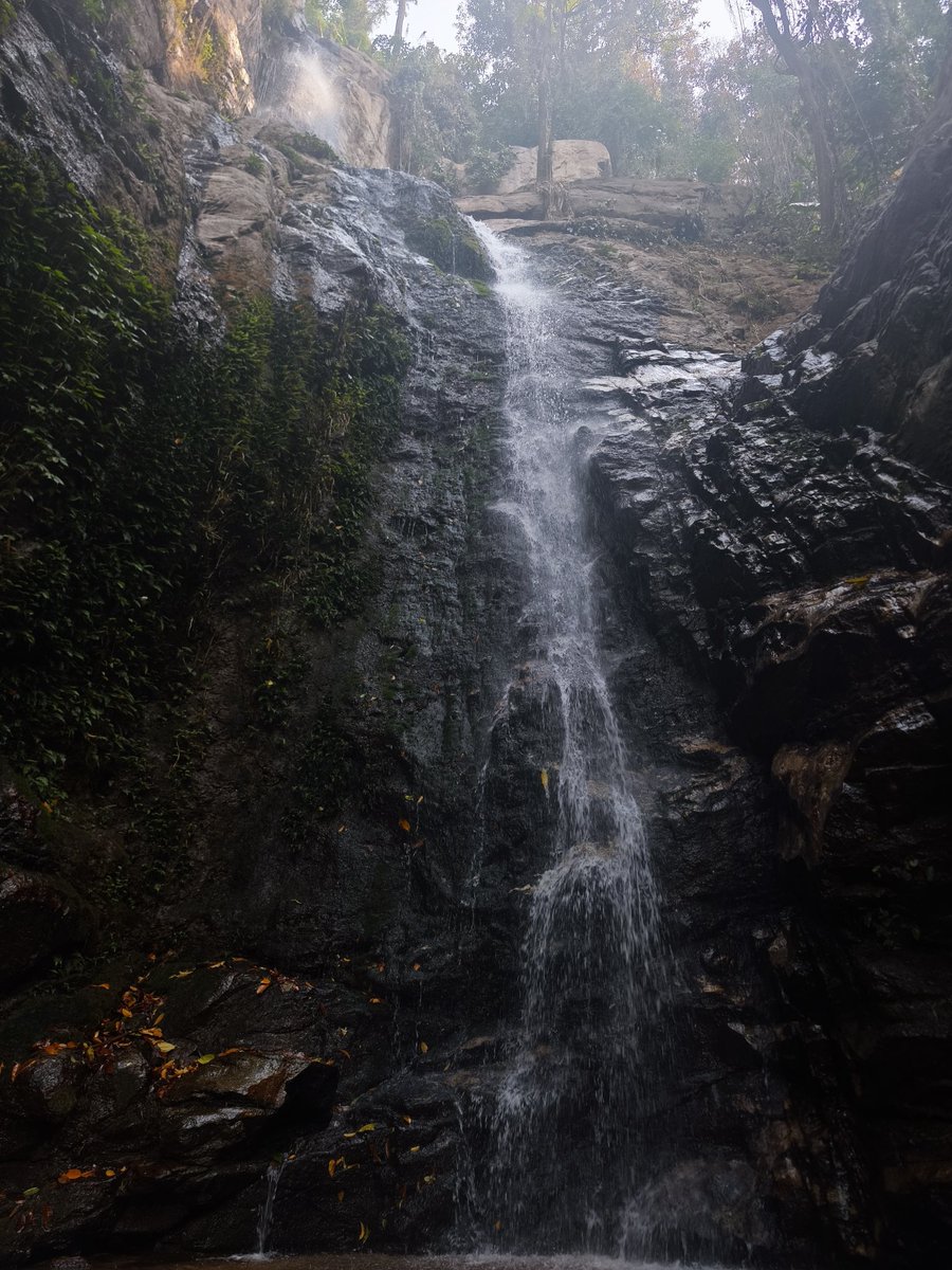 Silmos_mumu tweet media