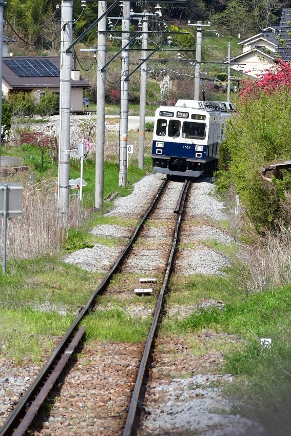 カルミコ tweet media