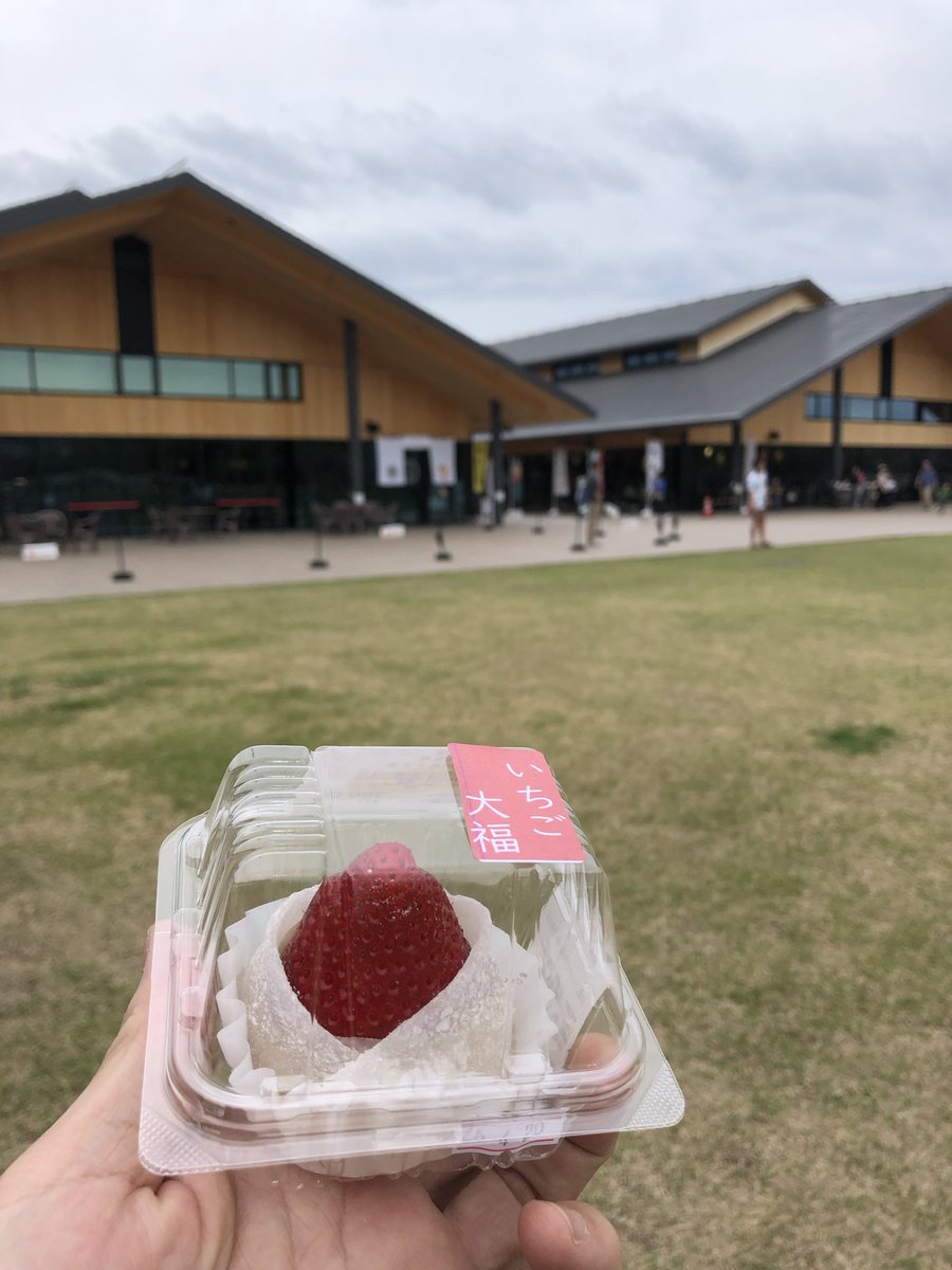 doushitamon's tweet photo. 穏やかな日じゃのぉ
#イチゴ大福　#道の駅で　#公園 https://t.co/iCQTpXkyto