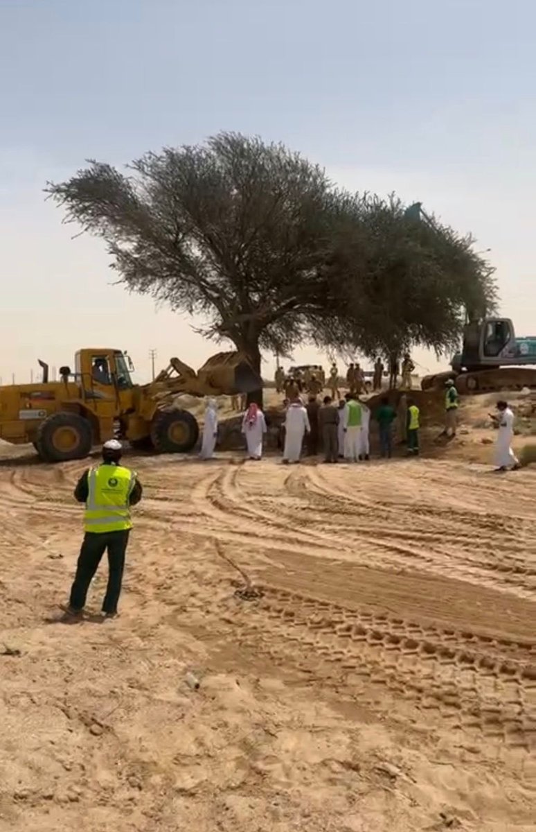 شكر لكل من أسهم في إنقاذ الشجرة
حيث قام فريق من المركز الوطني لتنمية الغطاء النباتي وجمعيه المحافظة على الاشجار والمتنزهات بالدوادمي وبلديه الدوادمي بتوجيه من مدير عام المنتزهات بمنطقة الرياض بما يلزم لإنقاذ الشجرة