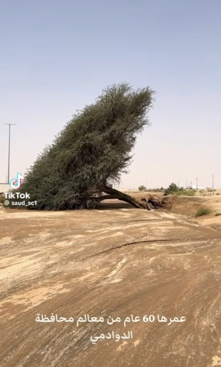 Dr. M Alquaiz د. محمد القويز tweet media