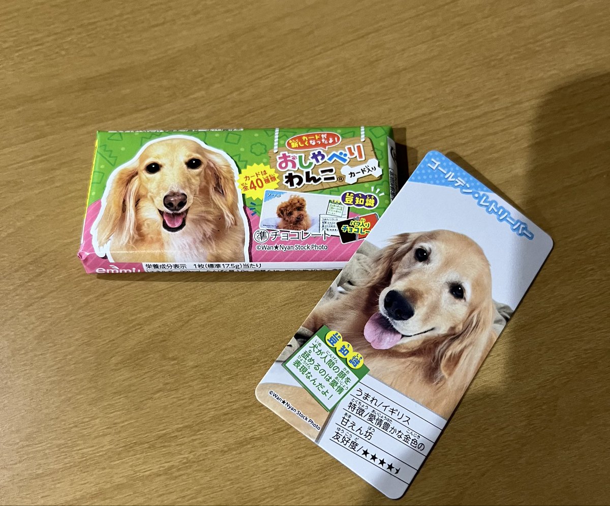 もぐ太郎 tweet media