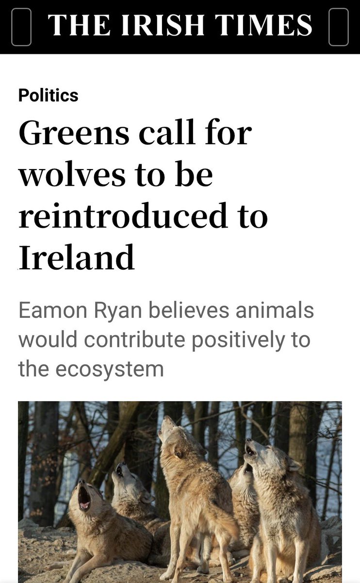 Tweed Cap tweet media