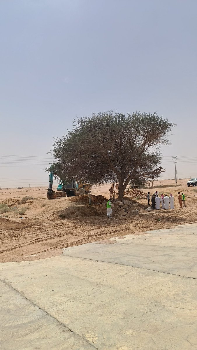 مجالس الدوادمي tweet media