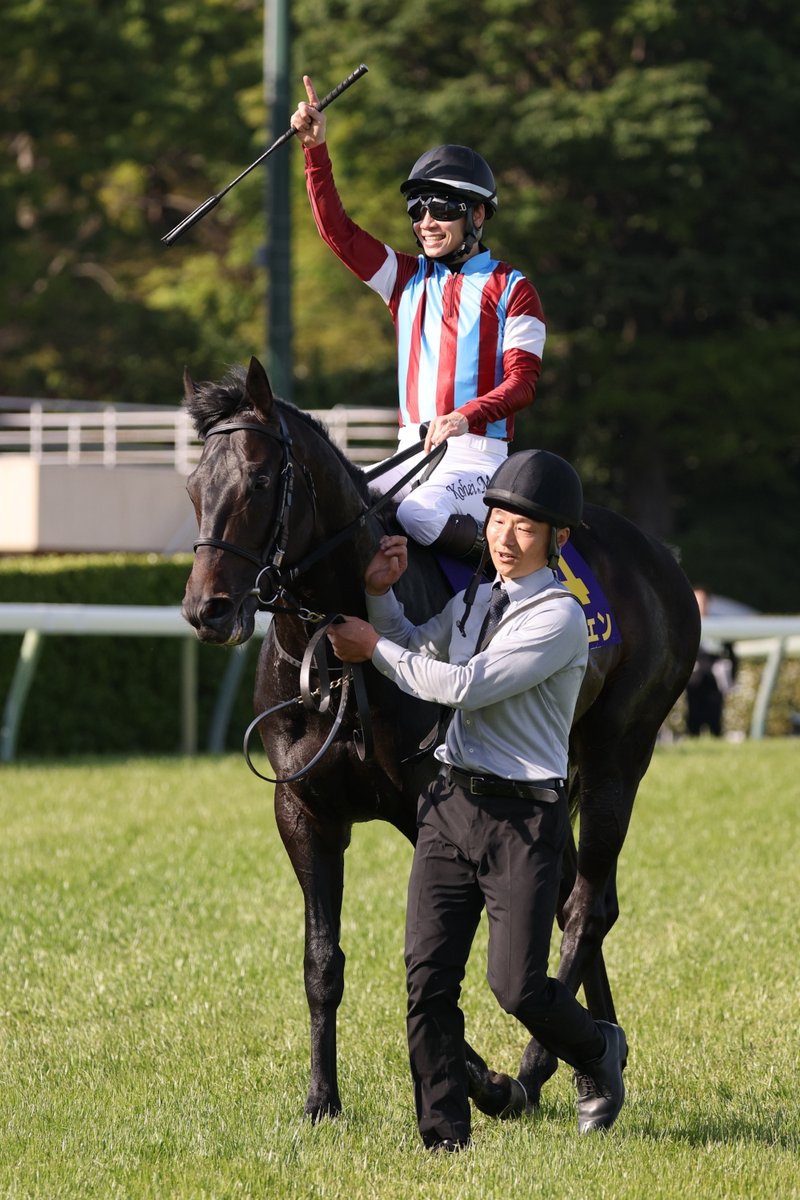 JRA-VAN公式 tweet media