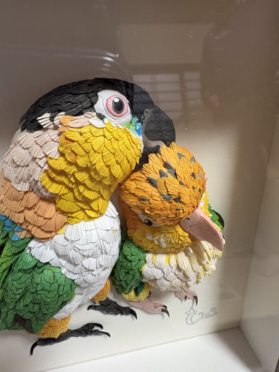 precious-bird2020 tweet media