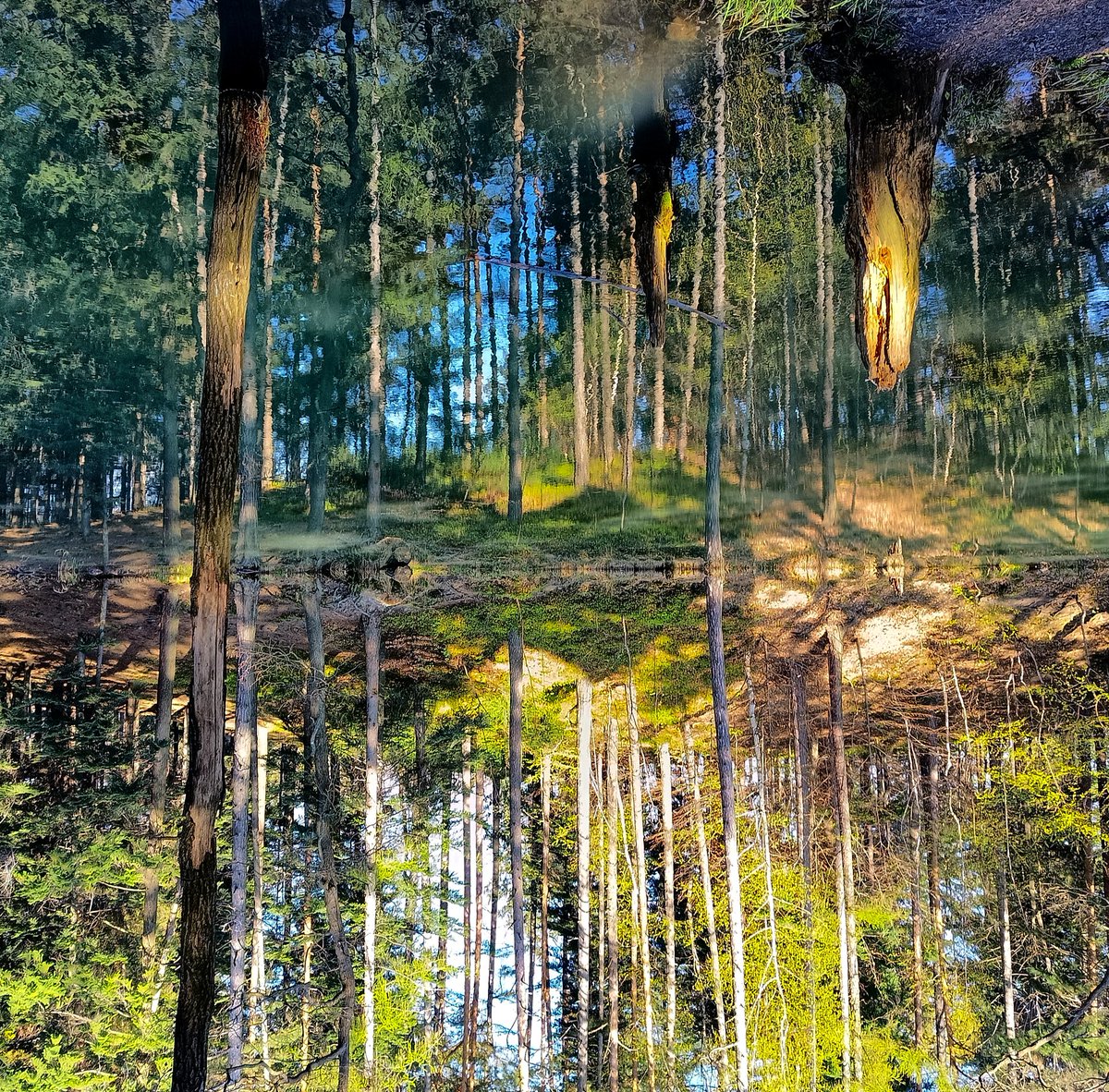 🇵🇱 EliGigi 🇵🇱 tweet media