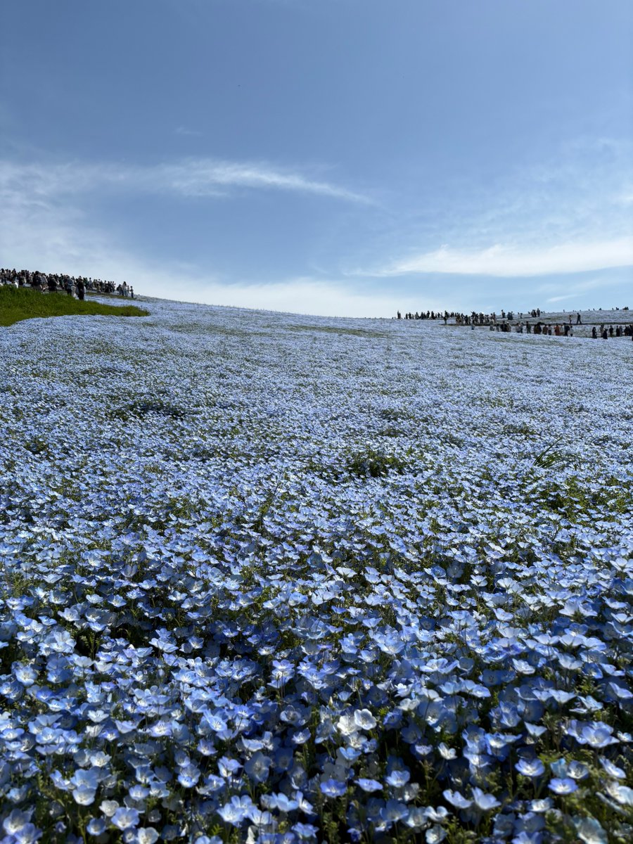 とみこ🌞🎤🌝 tweet media