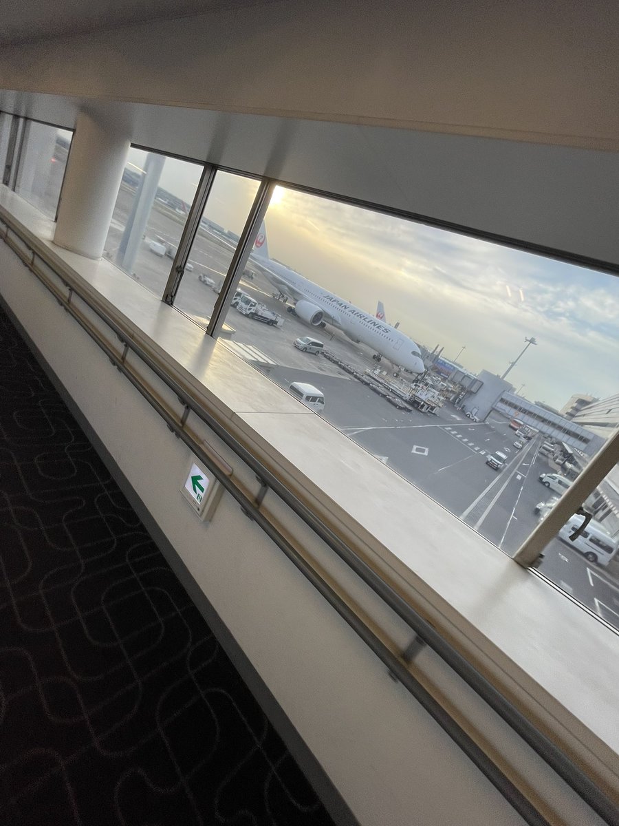 筋トレパンダ tweet media