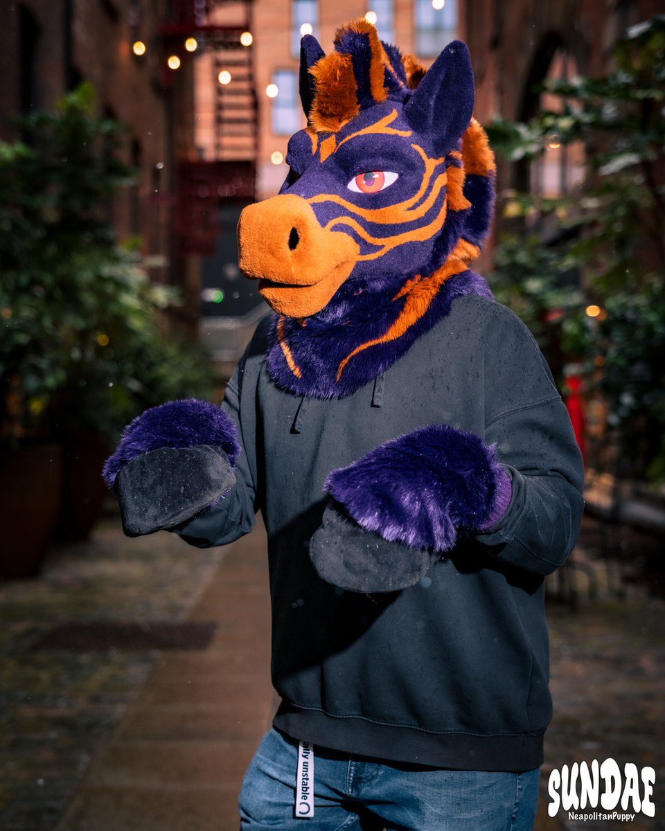 HoundmadeSuits's tweet photo. @Glitzy_Fox Oh boy one of my first feels ROUGH compared to my latest two!! 

So grateful I’ve been able to work on my craft full time now 🥺 here’s hoping to finding more people to expand the suit family and help me grow even more! https://t.co/FslVb2uK8T