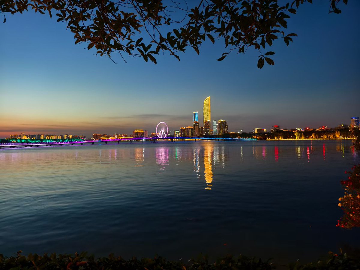 波棱盖秃噜皮 tweet media