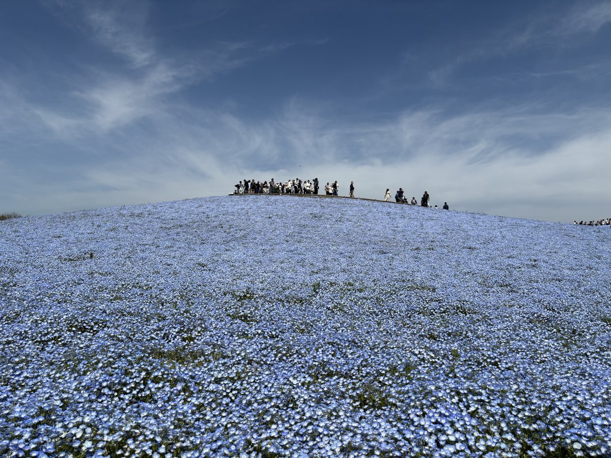 とみこ🌞🎤🌝 tweet media