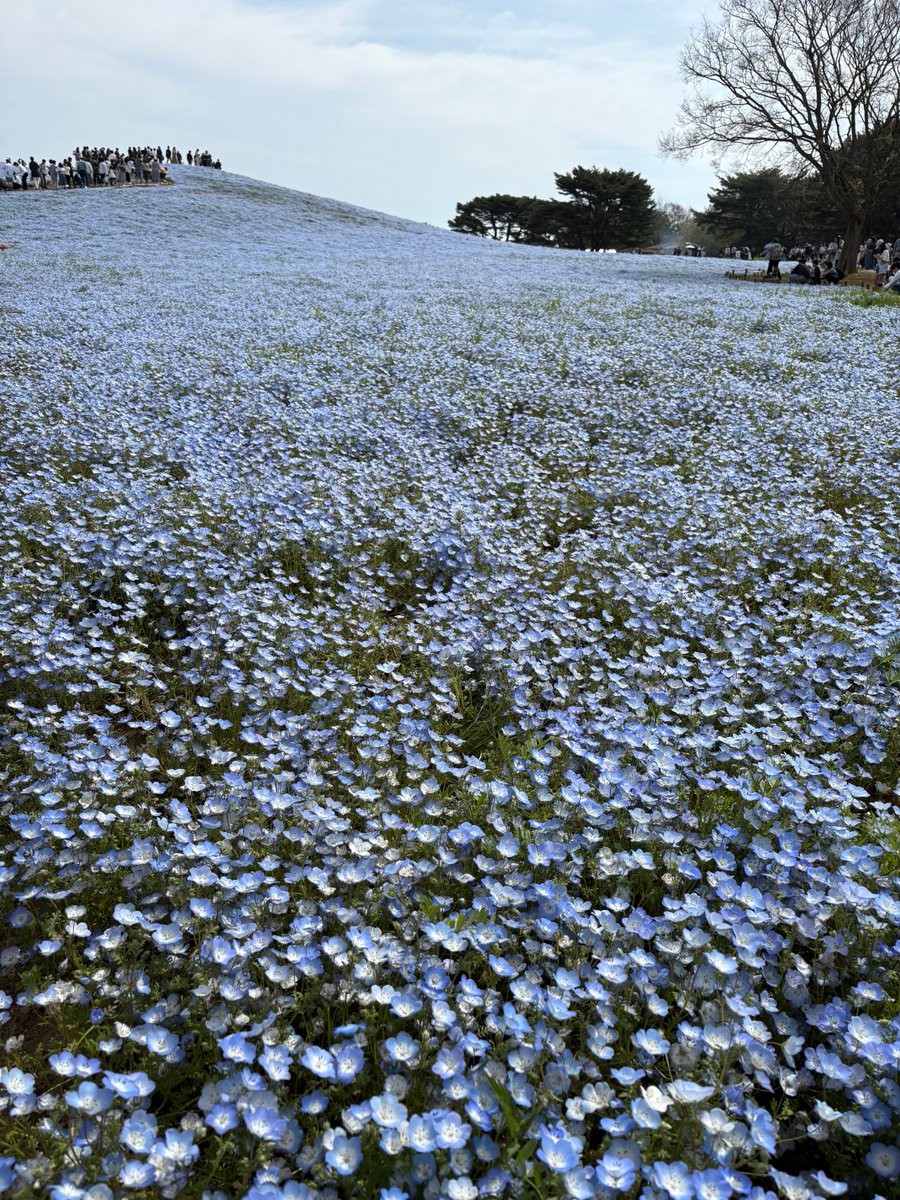 とみこ🌞🎤🌝 tweet media