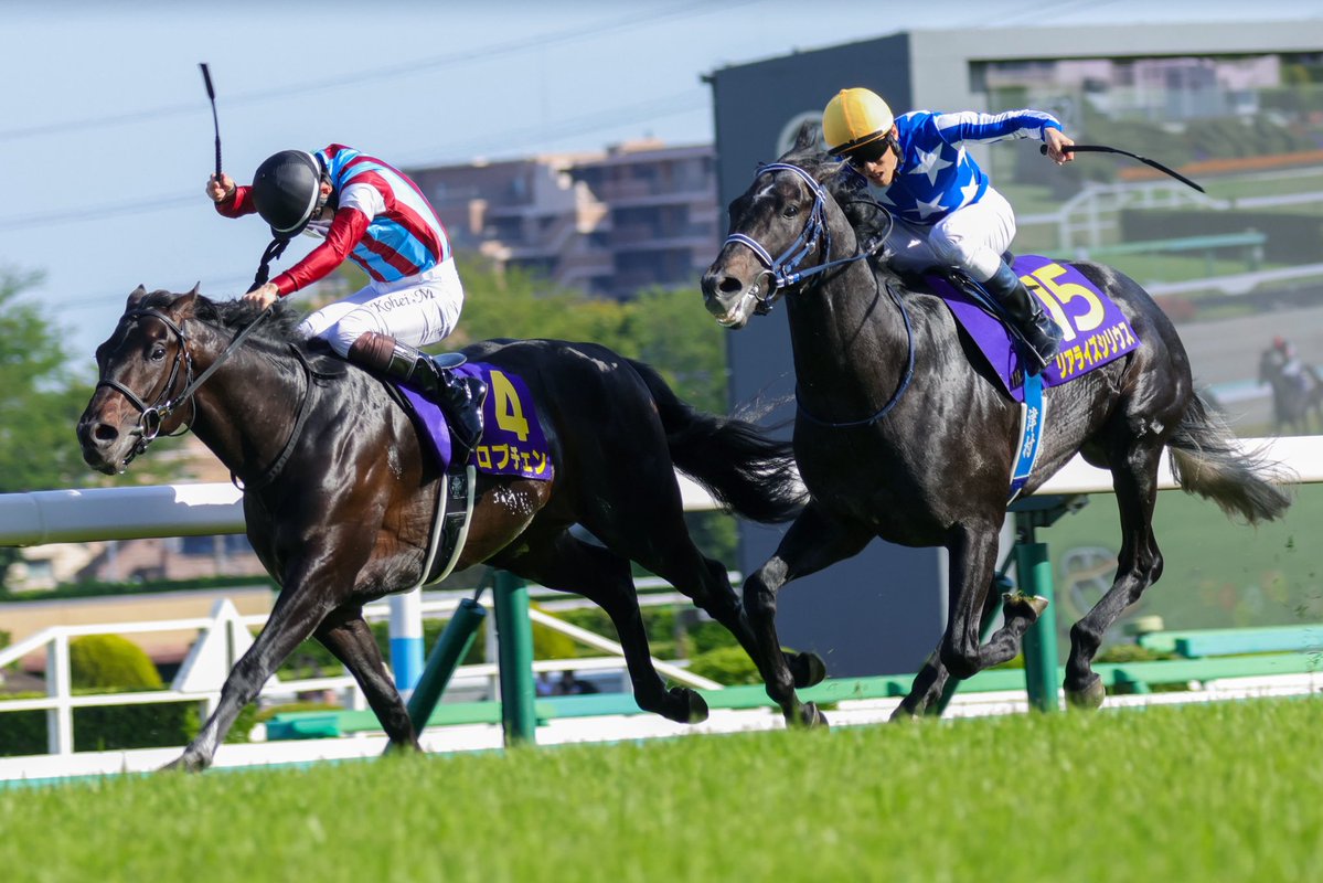 馬と人
意地のぶつかり合い
#ロブチェン 
#リアライズシリウス
