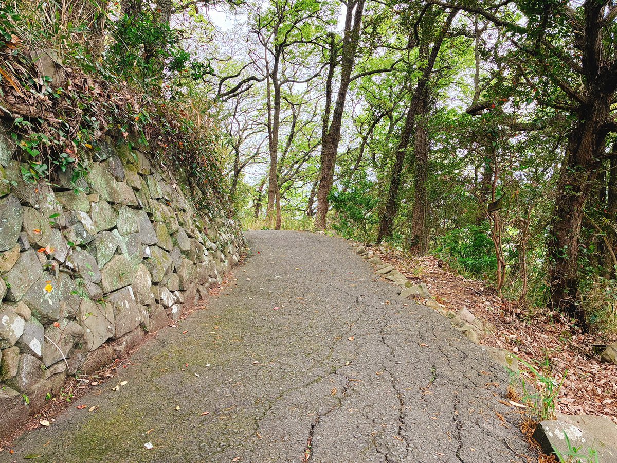 🐑 だ む 🐑 tweet media