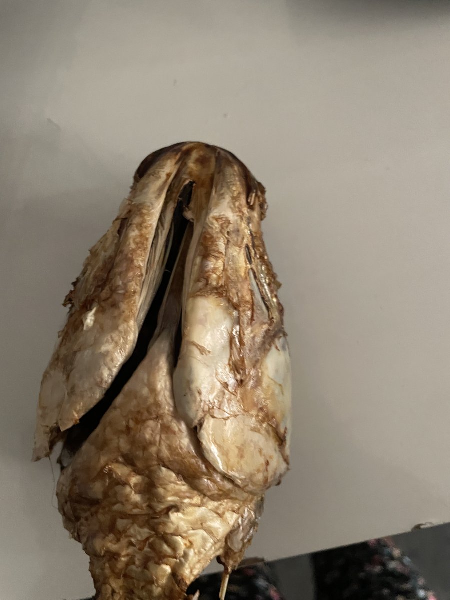 Aunty Kemi Of Ibadan ||Desiremultifood🇳🇬 tweet media