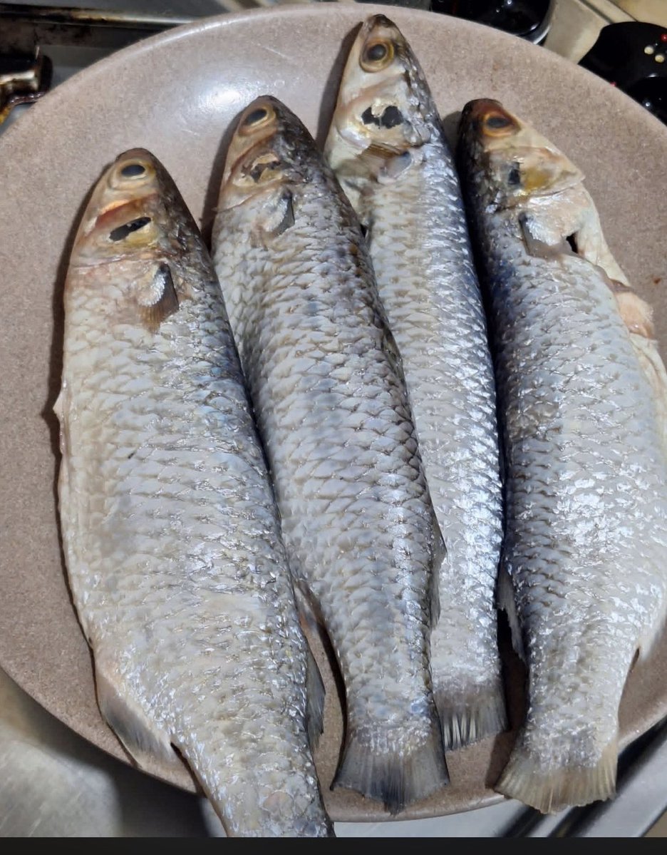 Aunty Kemi Of Ibadan ||Desiremultifood🇳🇬 tweet media