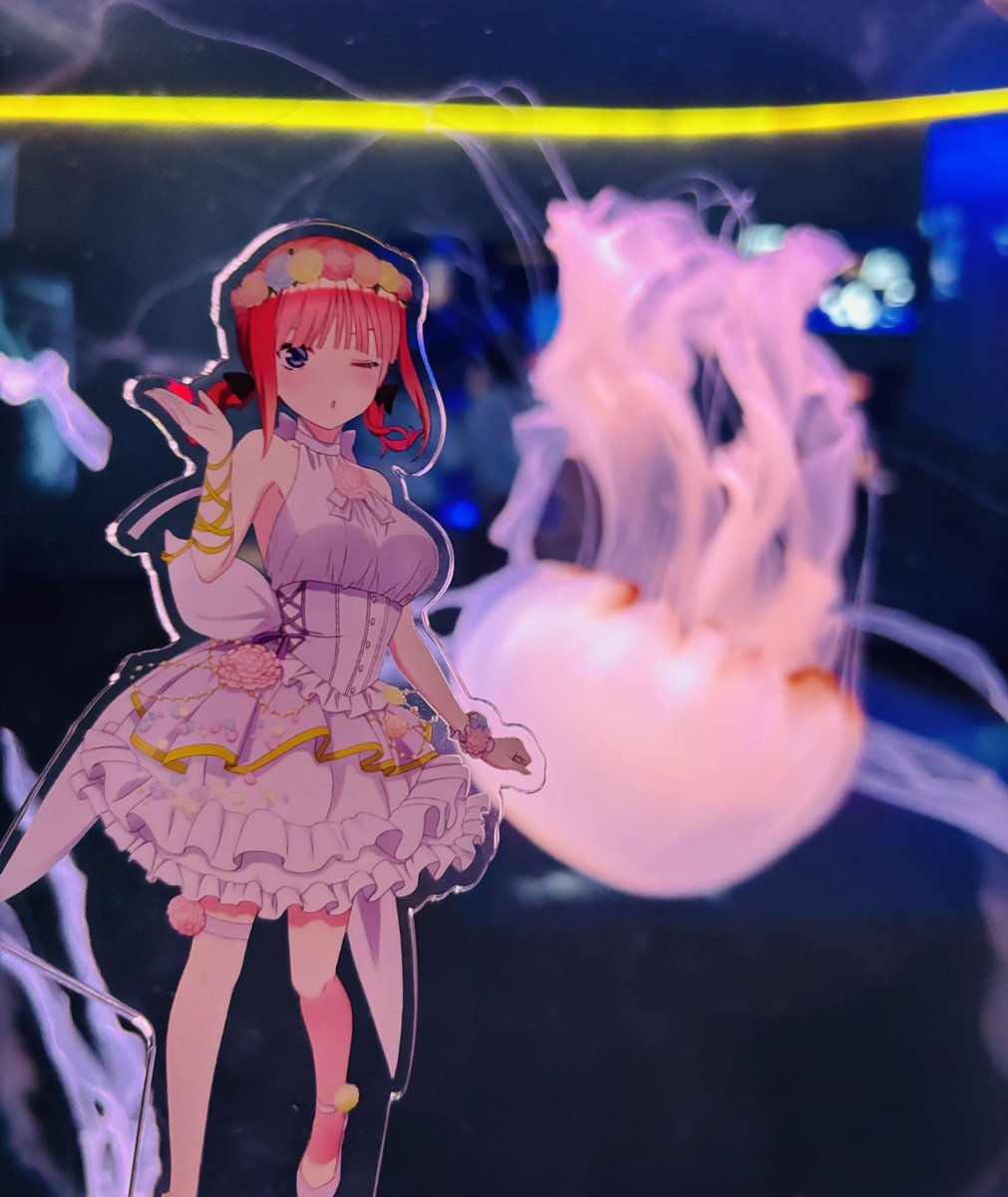 𝓨 tweet media