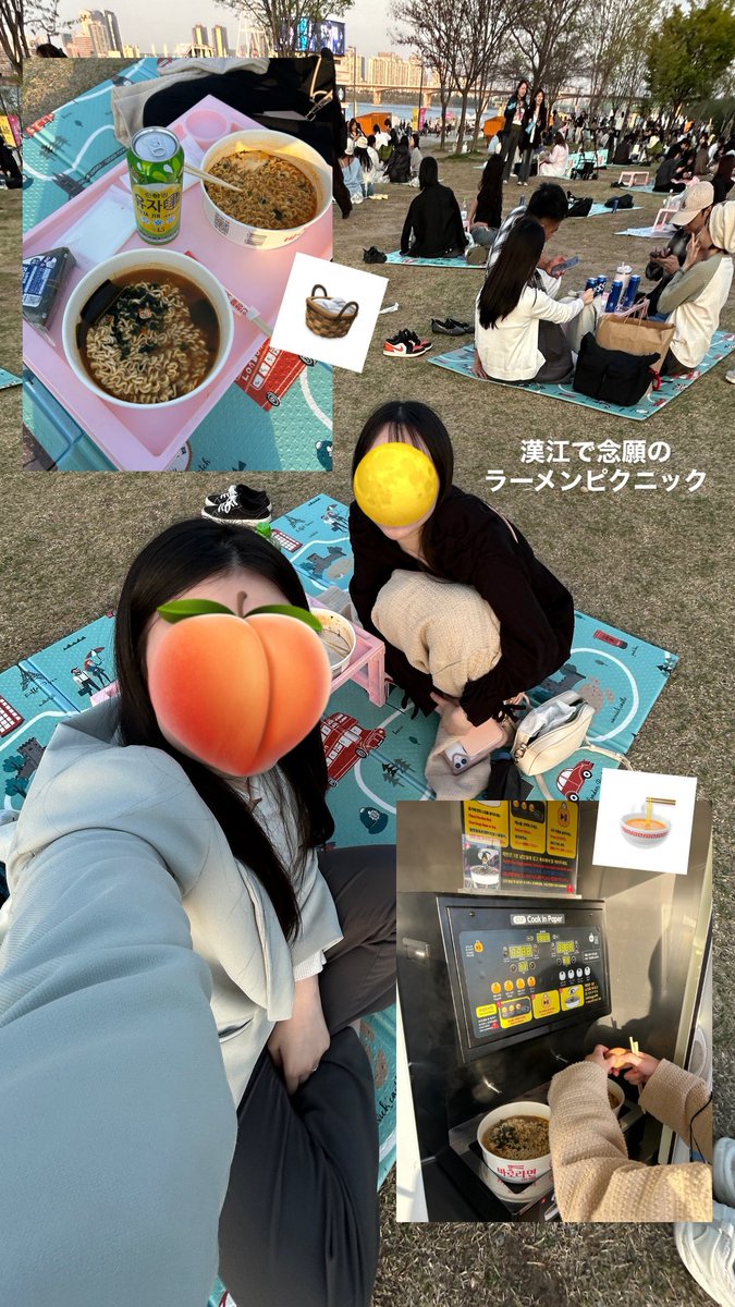 もんか｜仔猫2匹のために働くフリーランス🐾 tweet media