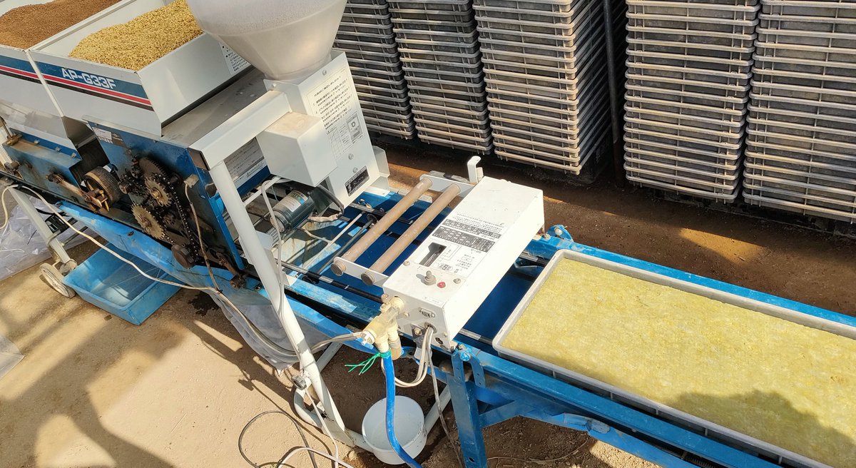 ふたみ tweet media