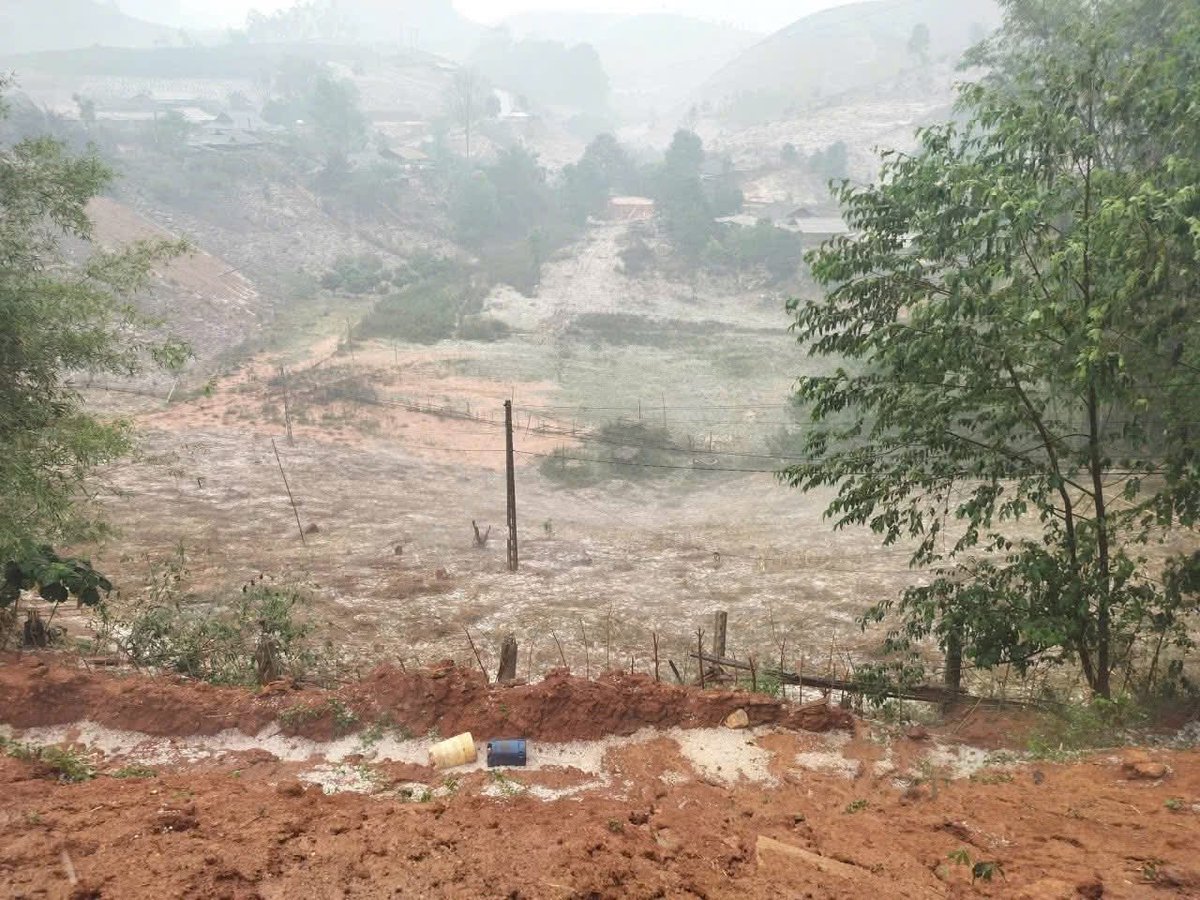 Thanh Nghệ | Clara Herbal tweet media