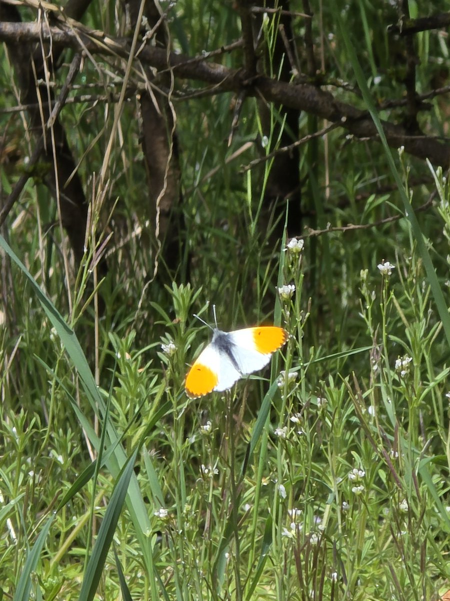 Stephan Luering 🇩🇪 tweet media